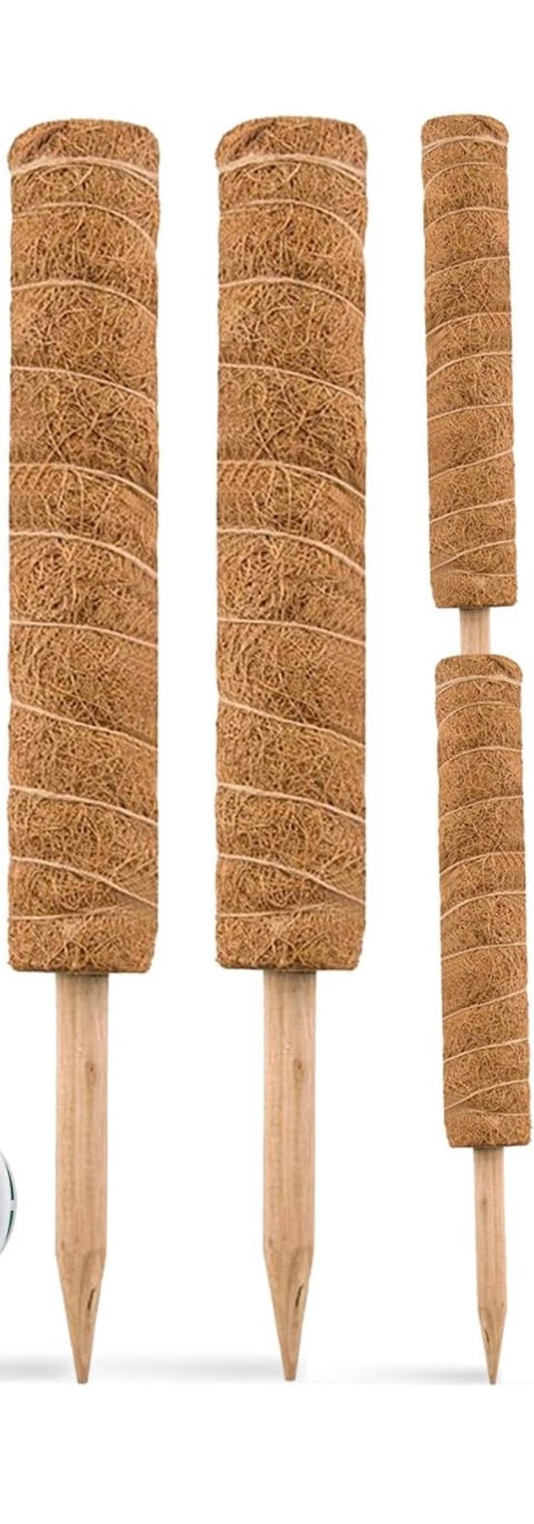 Moss Poles or Totems