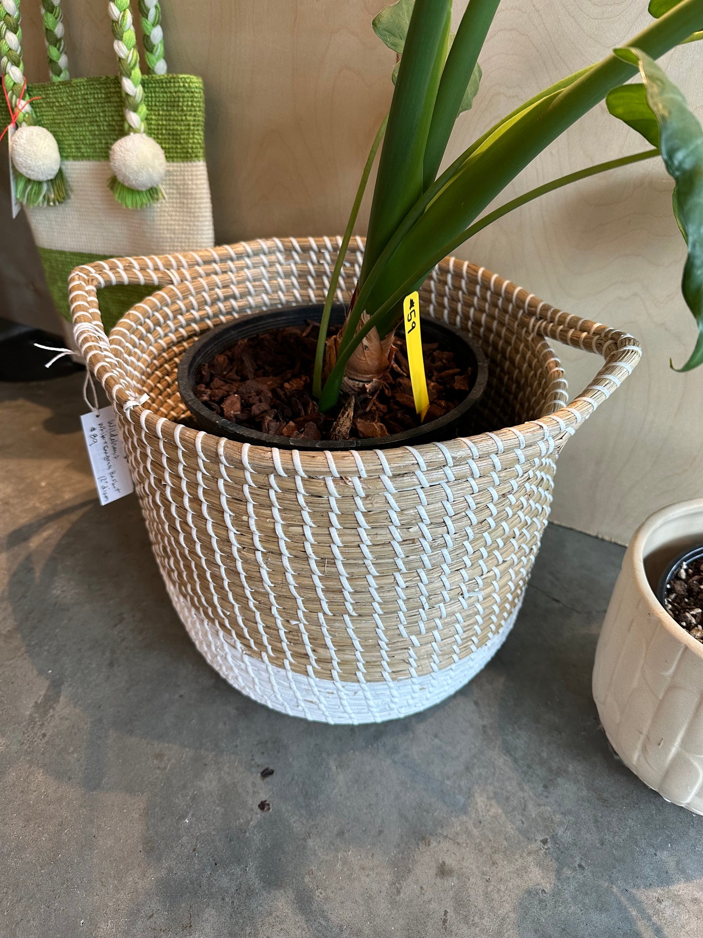 White and seagrass basket - 12”