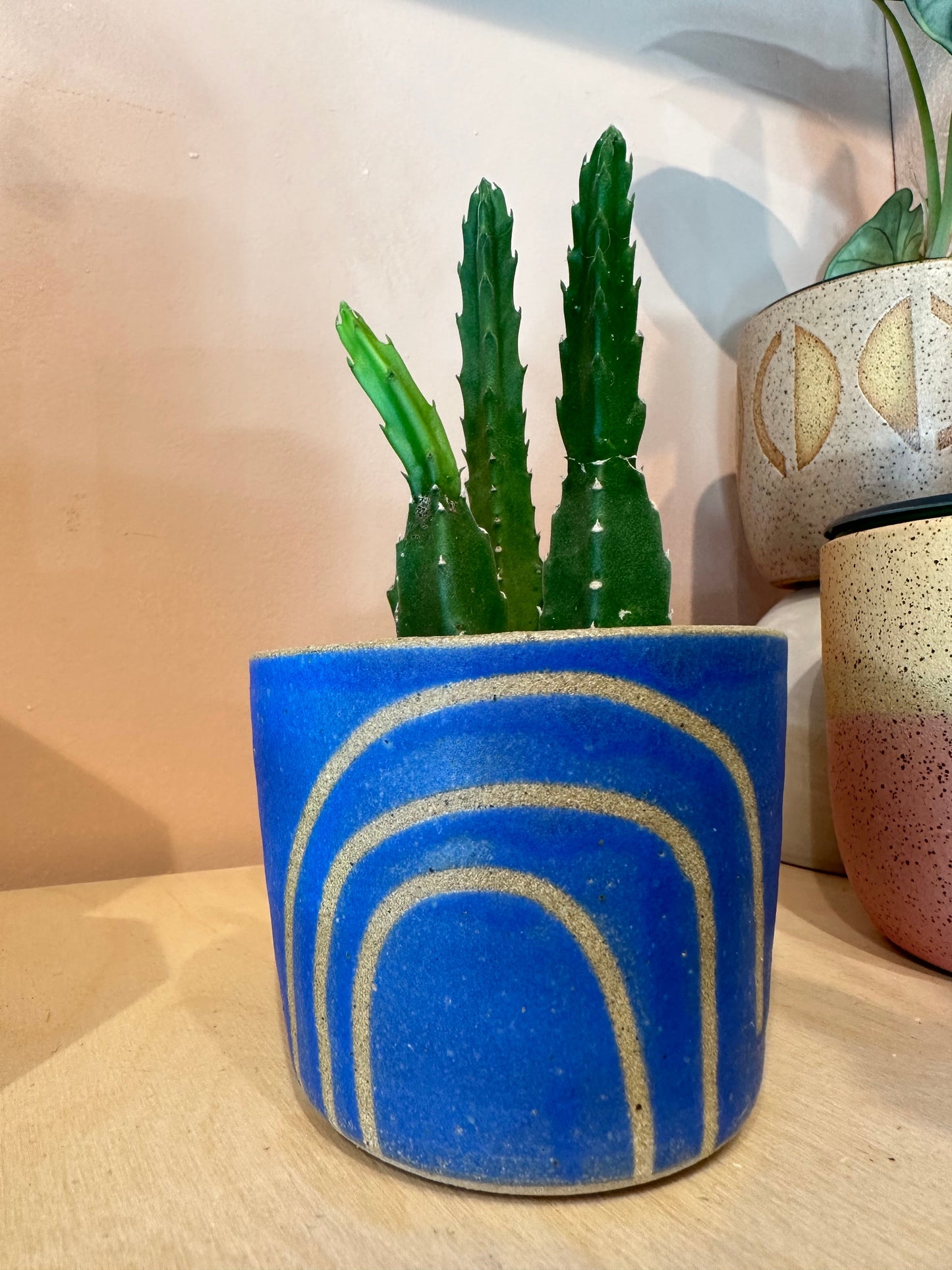Cactus Cups by BYUN