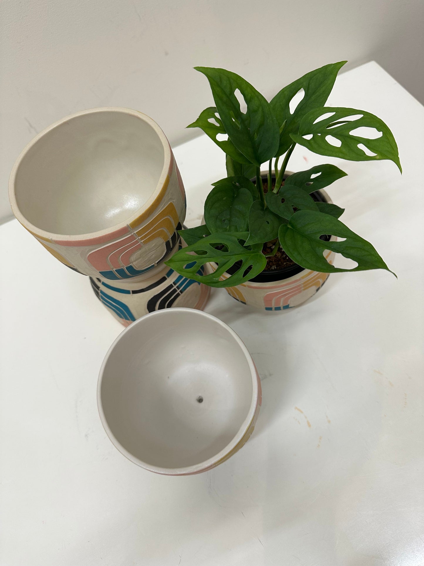 Niko Far West - Tesseris Planter - 5"