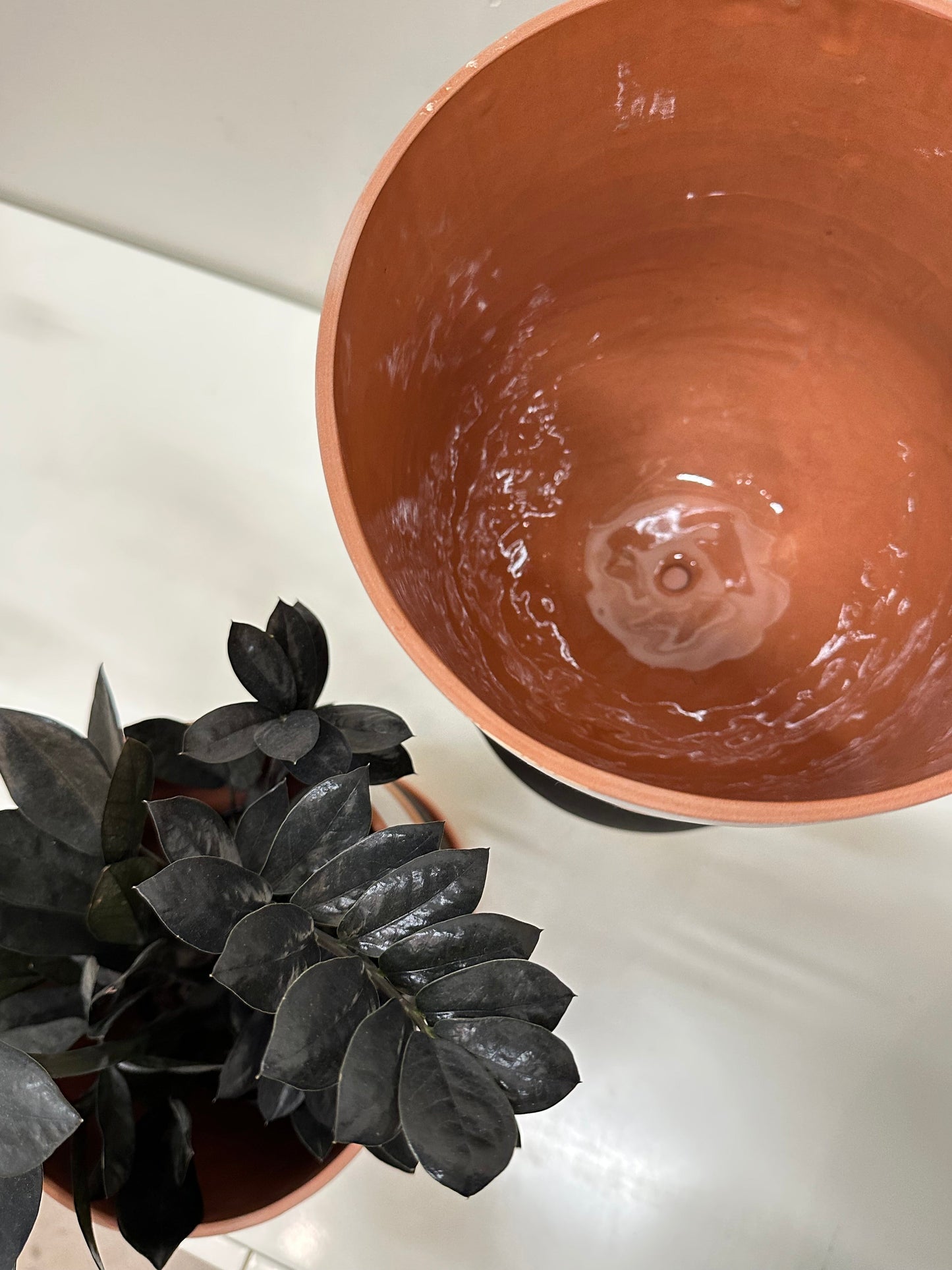 Niko Far West - Izima Terracotta Planter - 8"