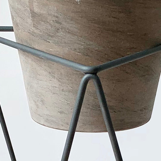 Big Squat 10" Plant Stand