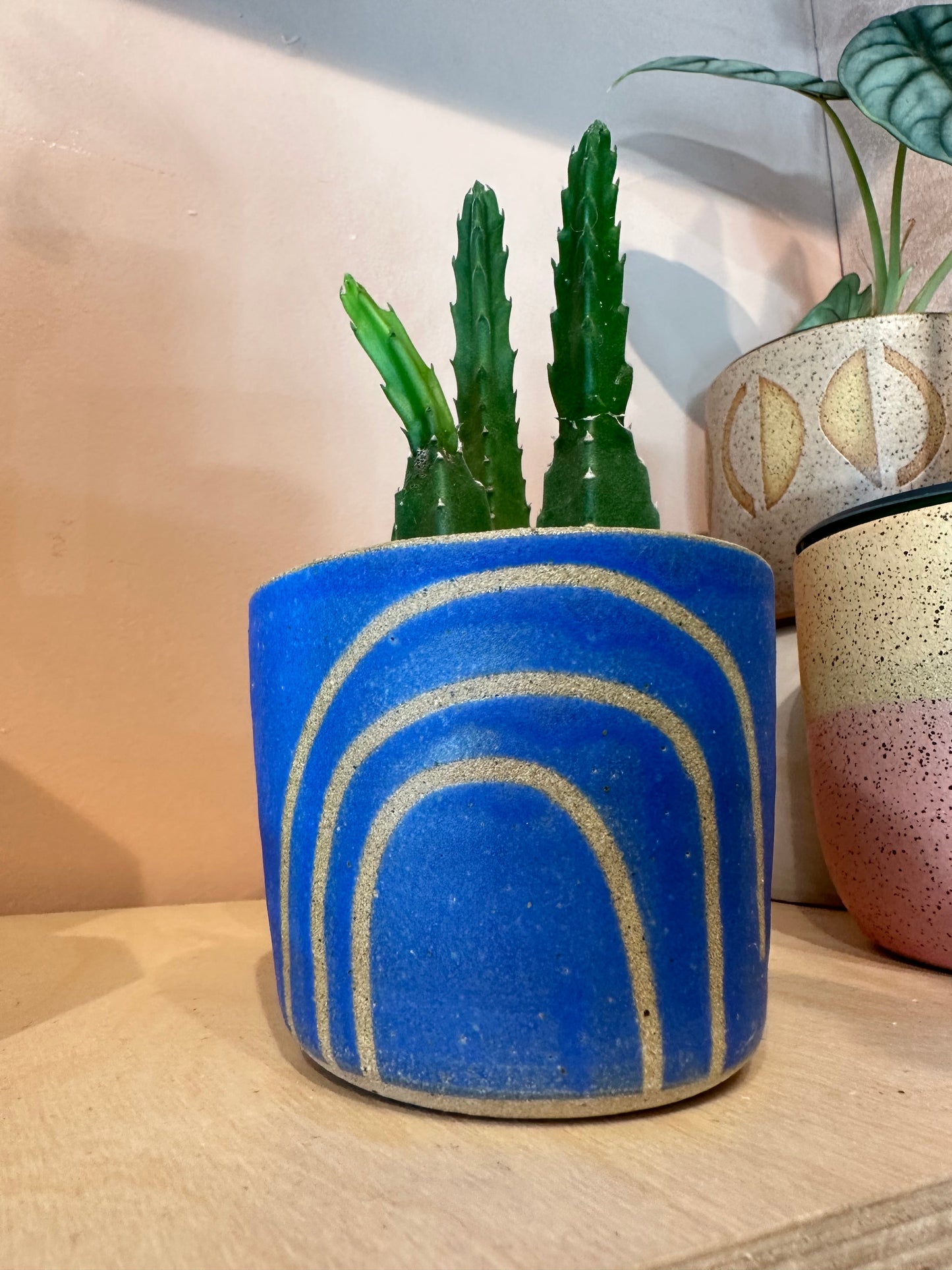 Cactus Cups by BYUN