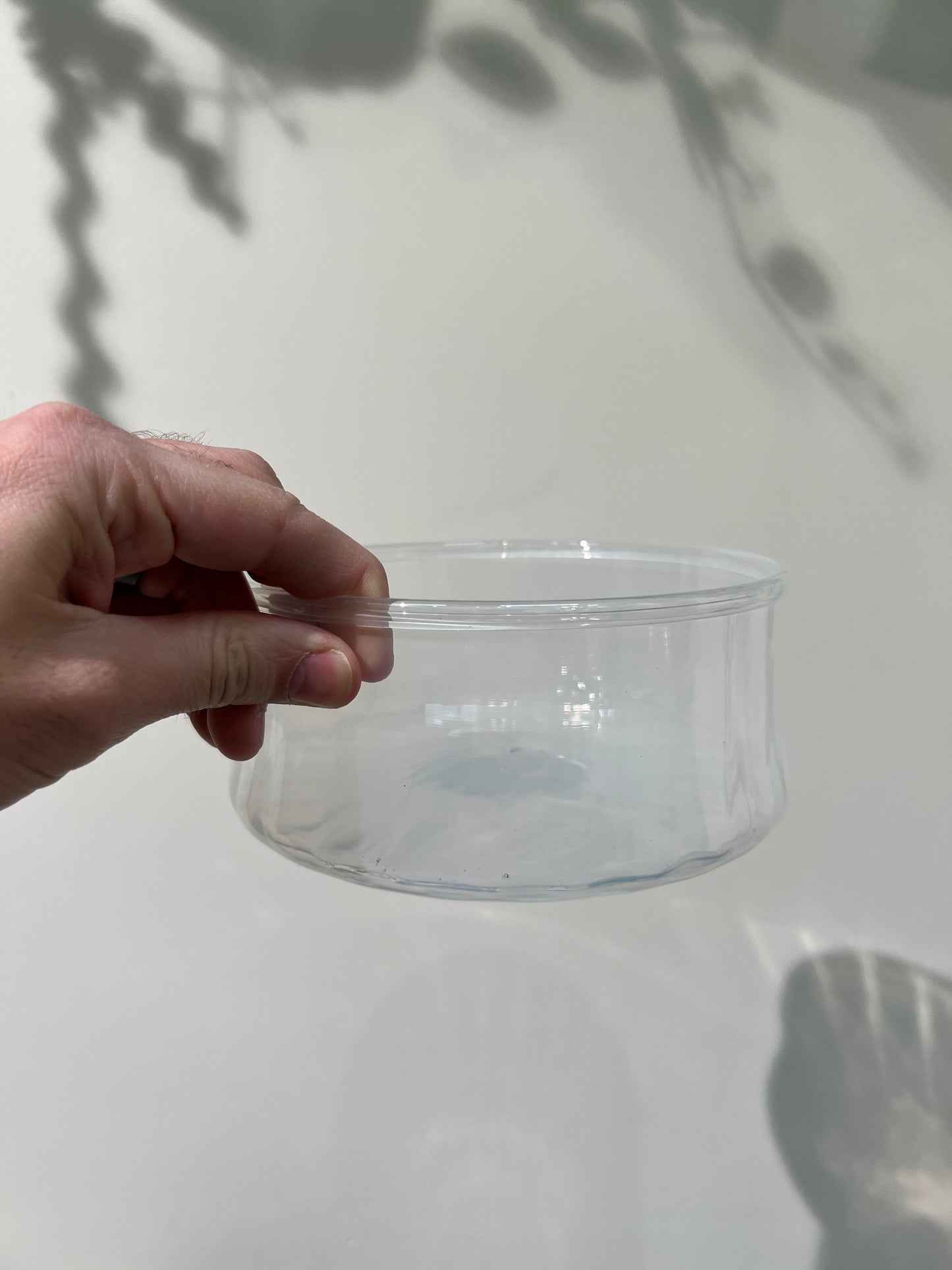 Glass Bowls