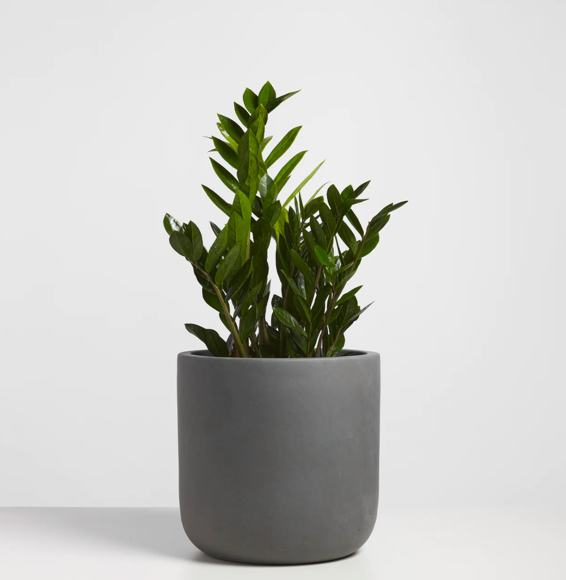 Fiberclay Cachepots
