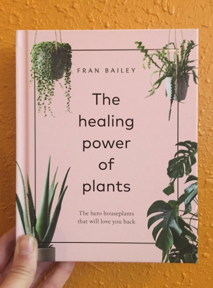 The Healing Power of Plants by Fran Bailey