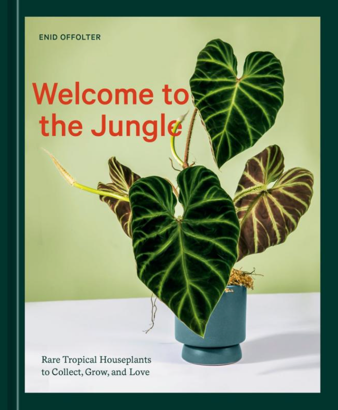 Welcome to the Jungle: Rare Tropical Houseplants to Collect, Grow, and Love by Enid Offolter