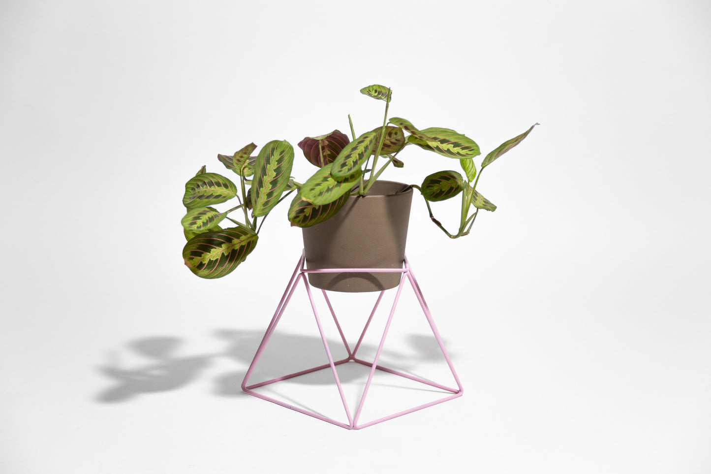 Big Squat 10" Plant Stand
