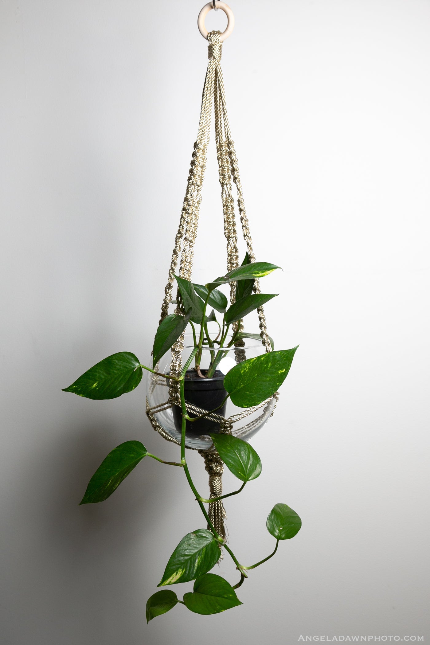 Vega Plant Hanger