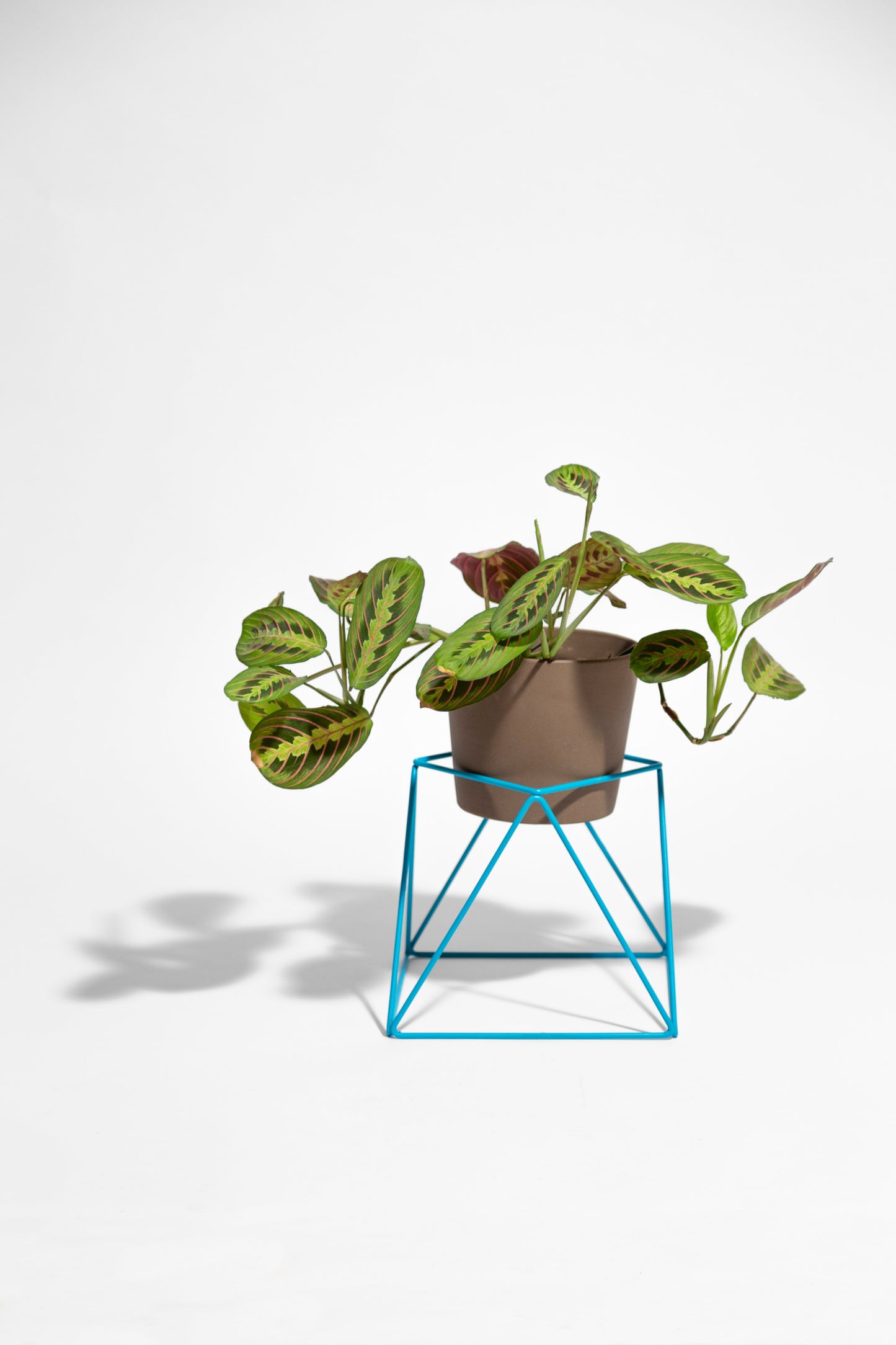 Big Squat 10" Plant Stand