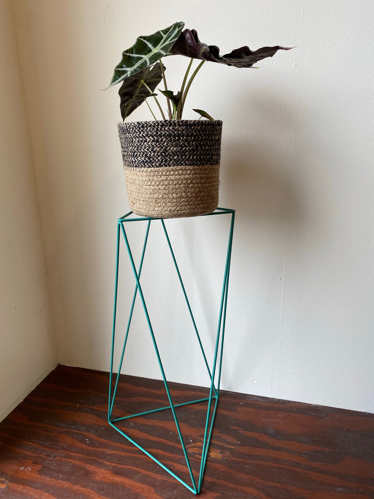 Tri Quad 22" Plant Stand