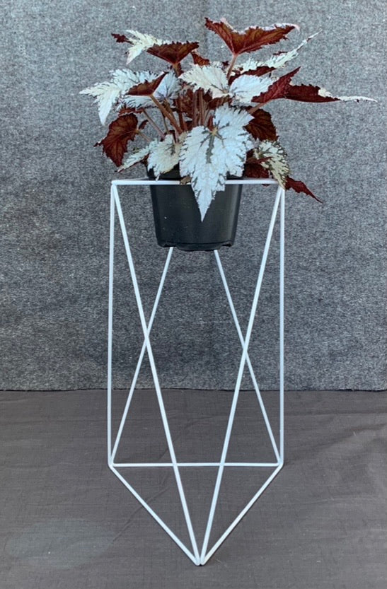 Tri Quad 22" Plant Stand