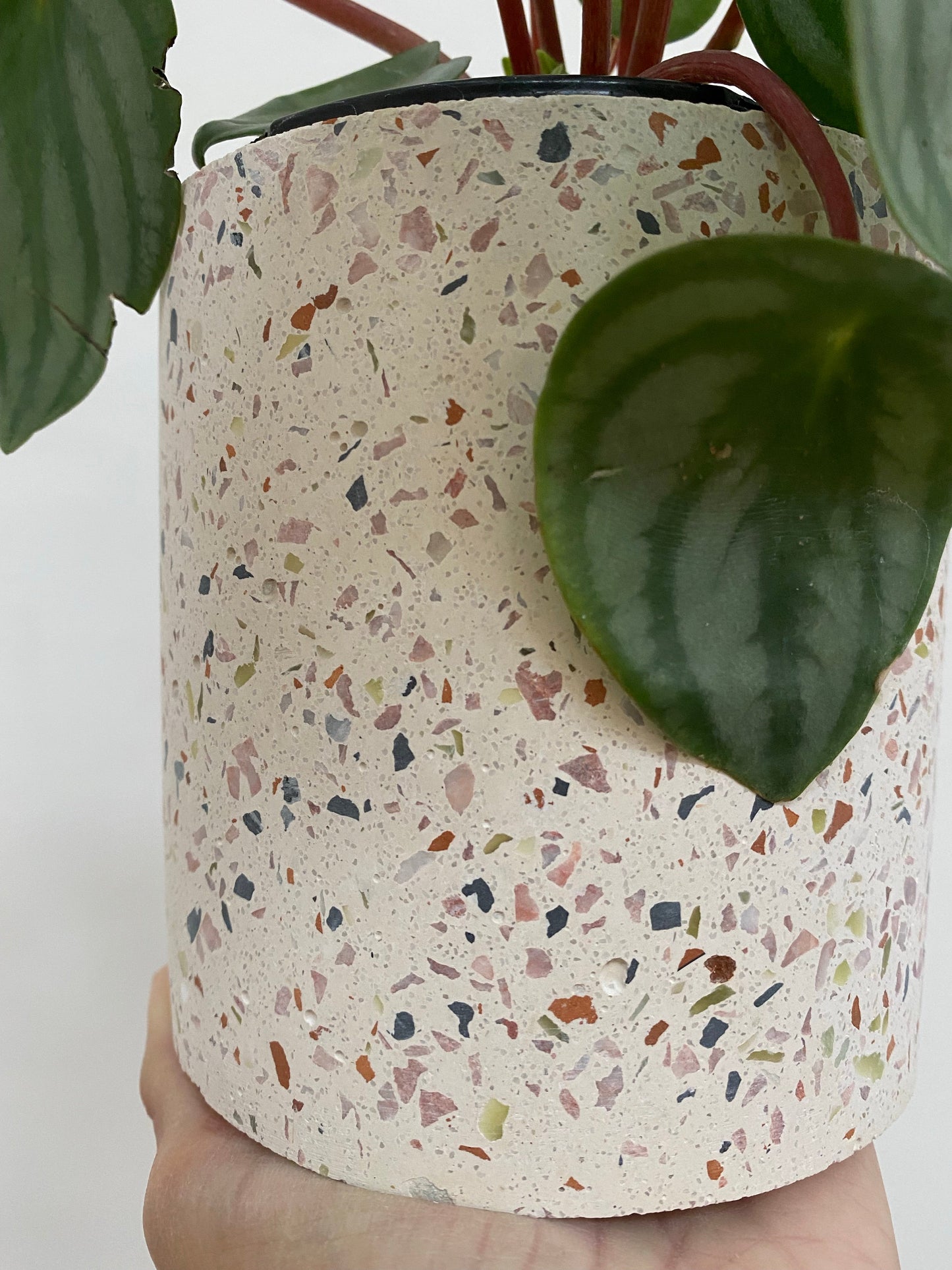Terrazzo Pots
