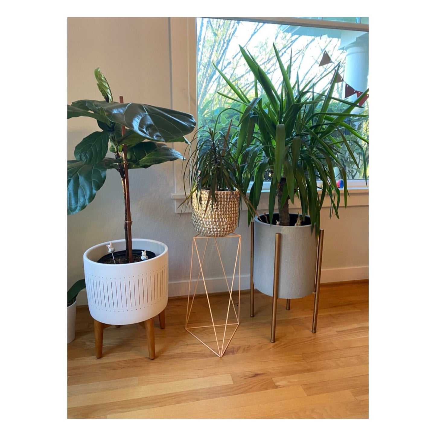 Tri Quad 22" Plant Stand