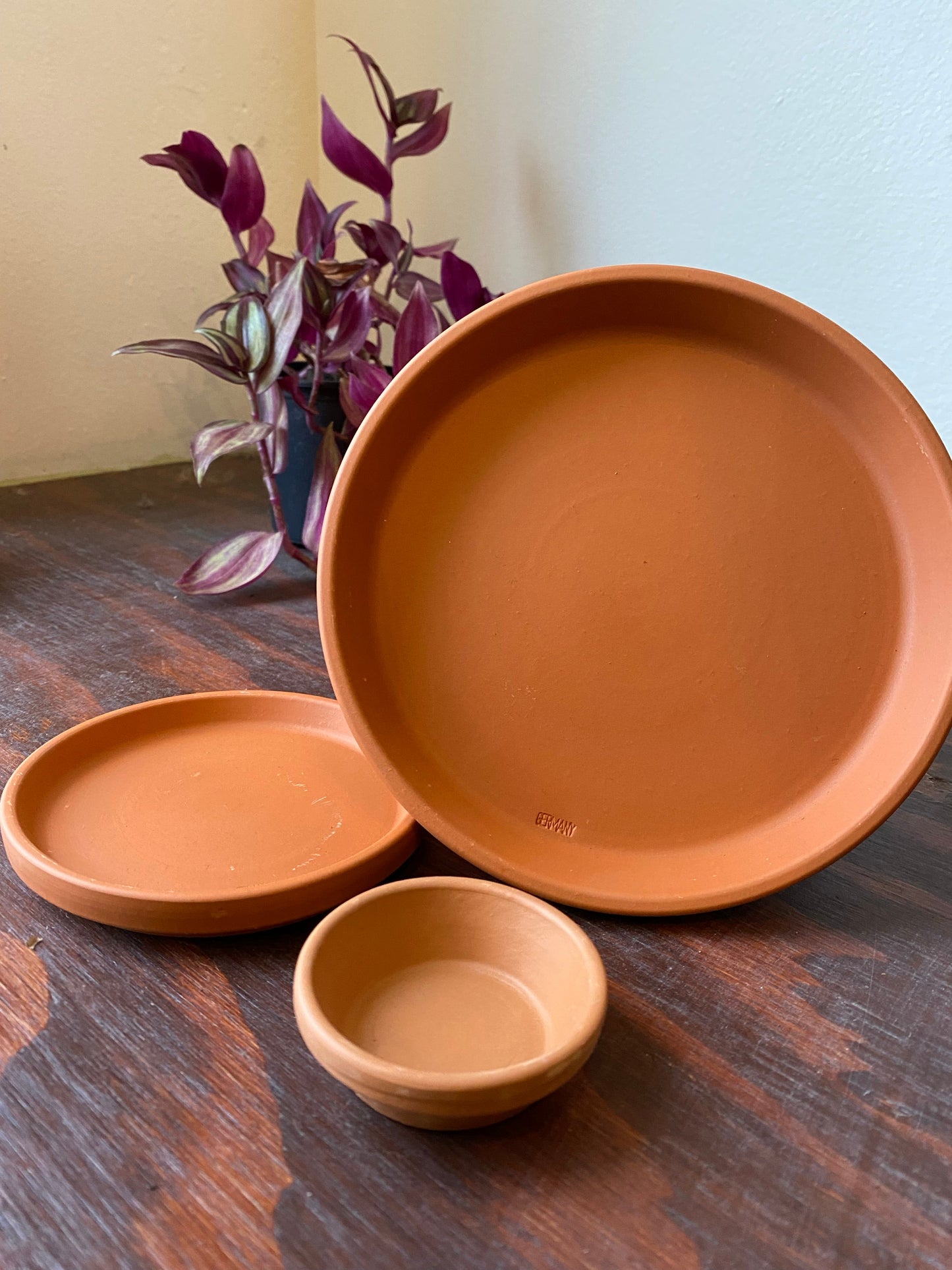 Terracotta Saucer