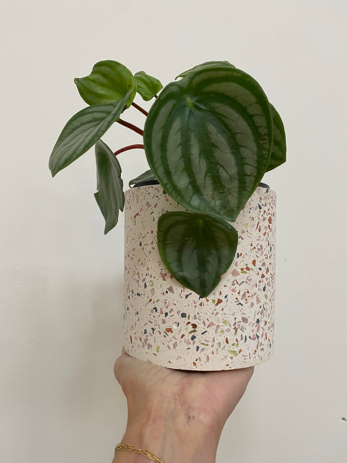 Terrazzo Pots