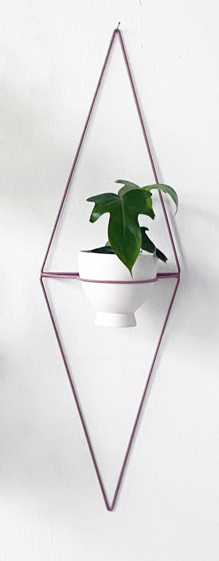 Sunset Circle Wall Planter