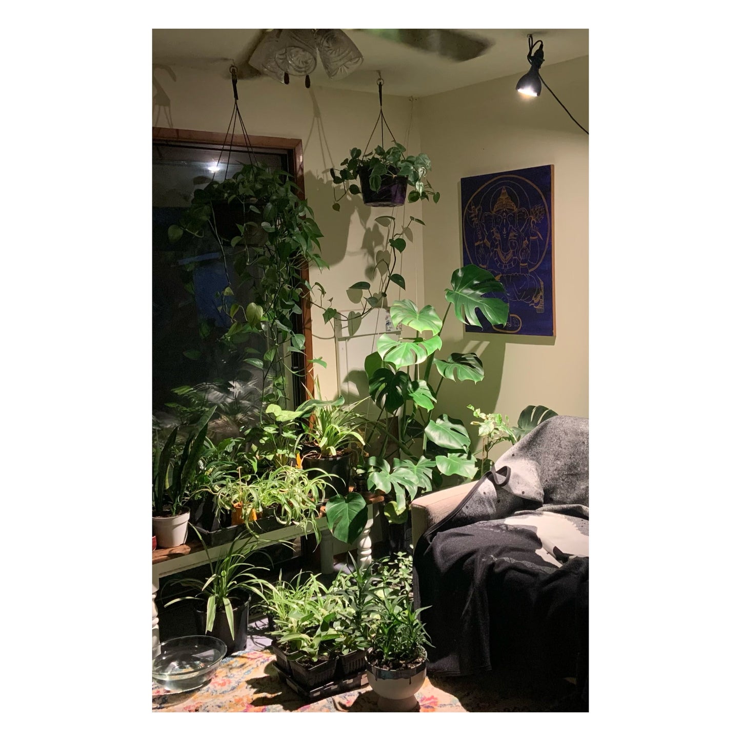 VITA Grow Light by Soltech Solutions