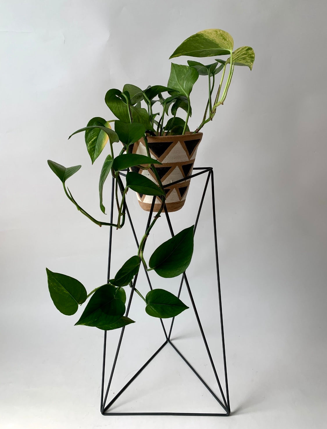 Tri Quad 22" Plant Stand