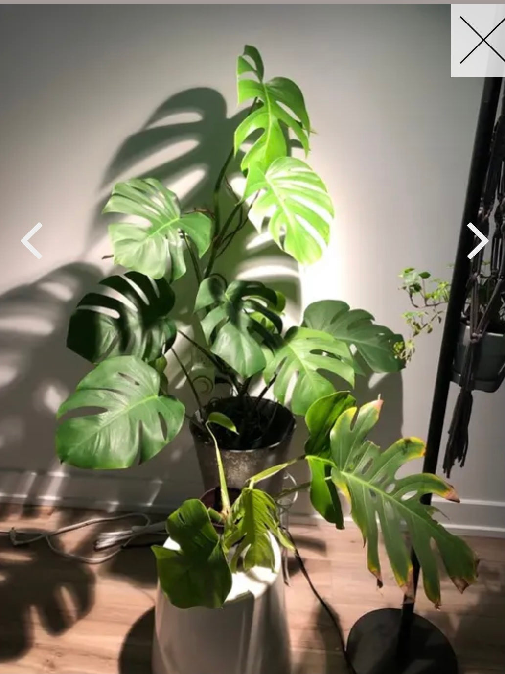 VITA Grow Light by Soltech Solutions