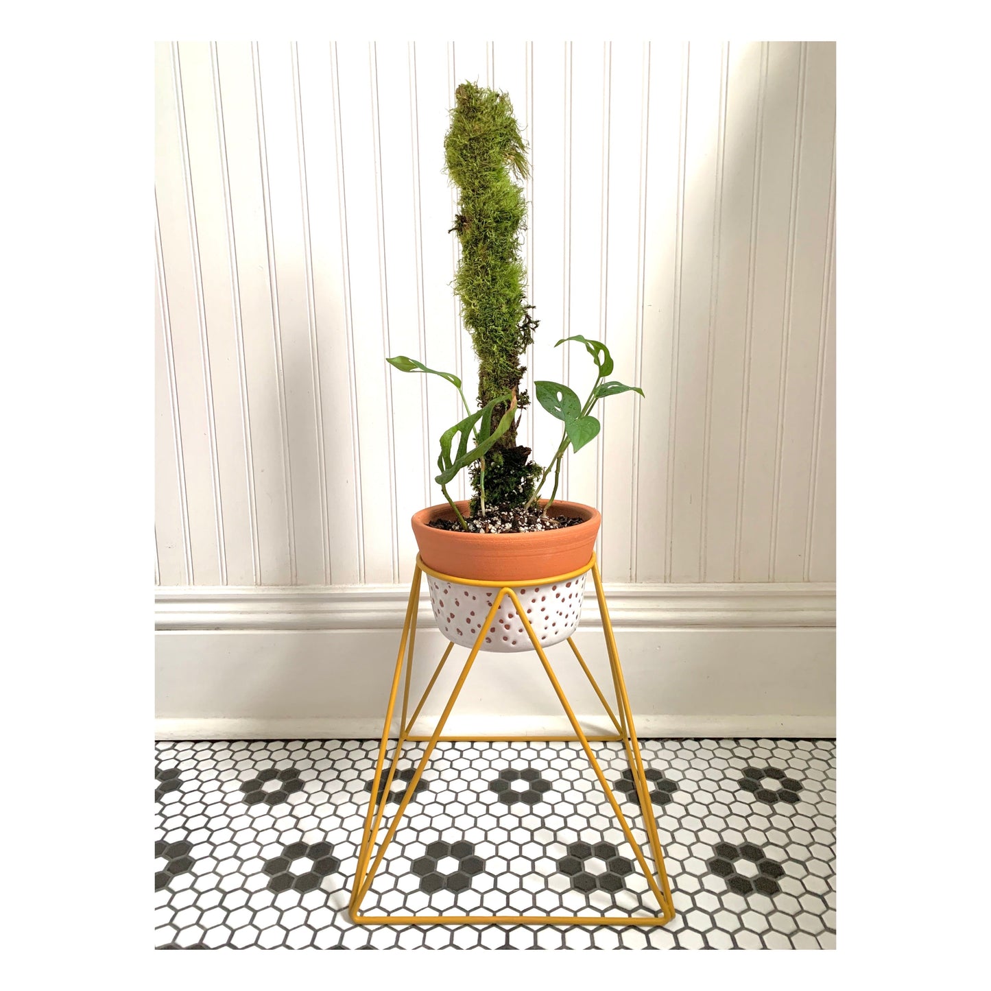 La Corona 10" Plant Stand