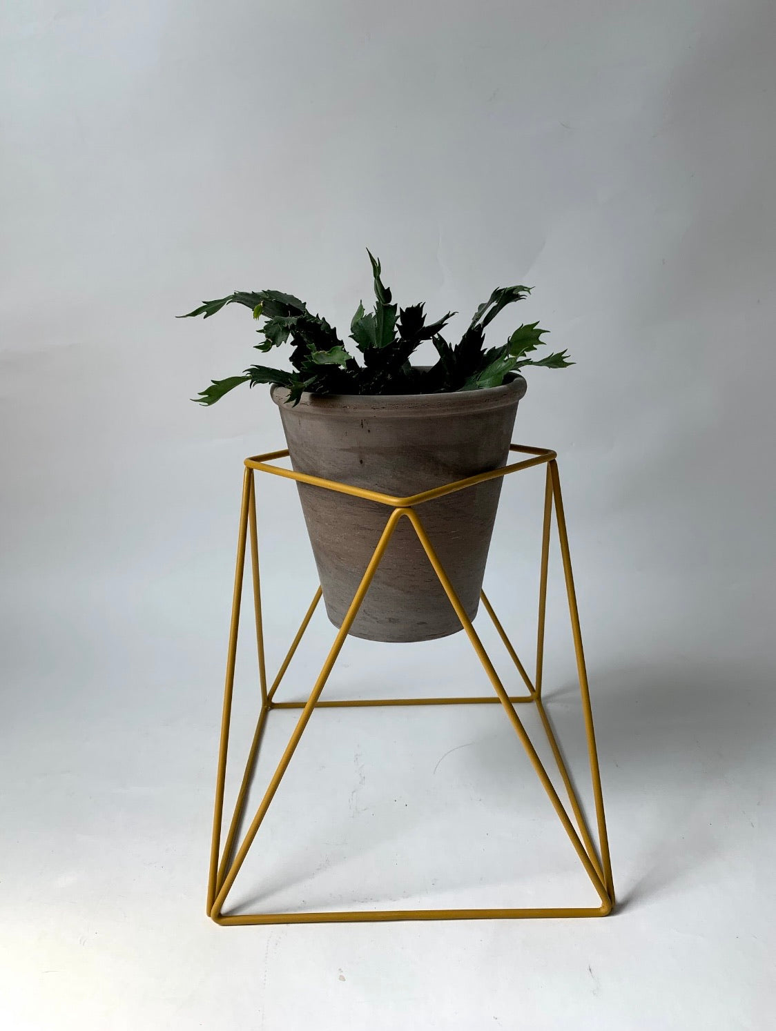Tri Quad 22" Plant Stand