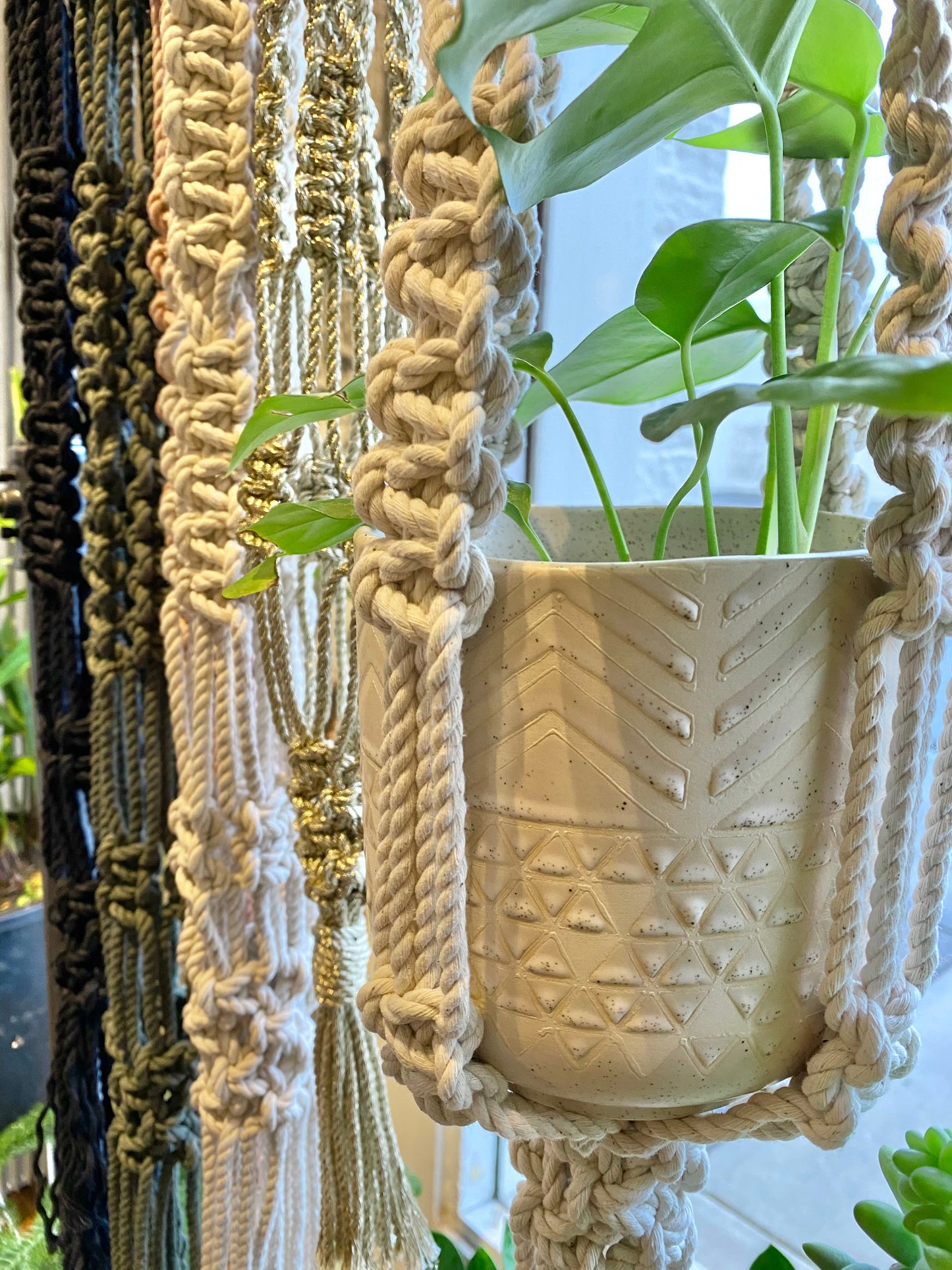 Vega Plant Hanger