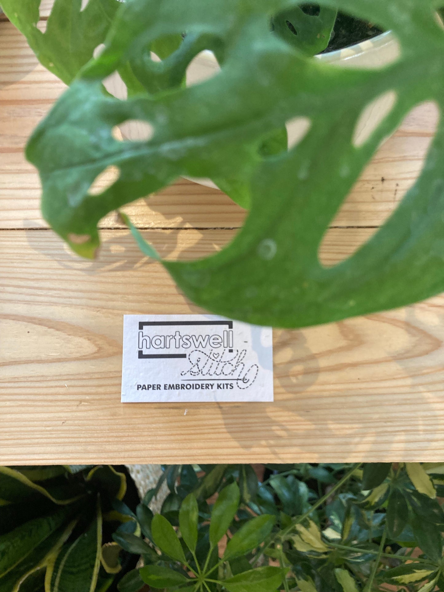 Botanical Embroidery Kits