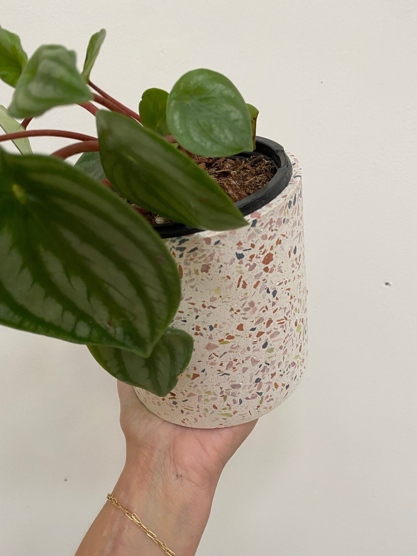 Terrazzo Pots