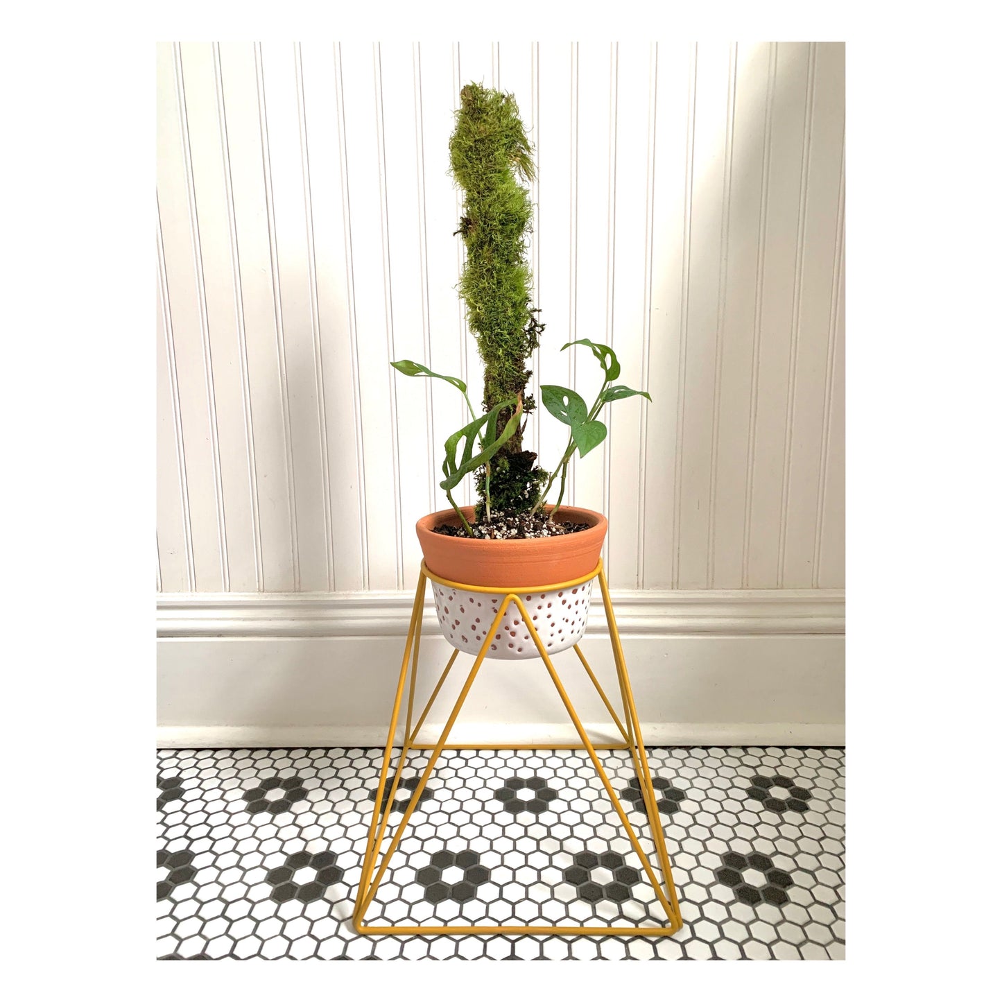 La Corona 10" Plant Stand