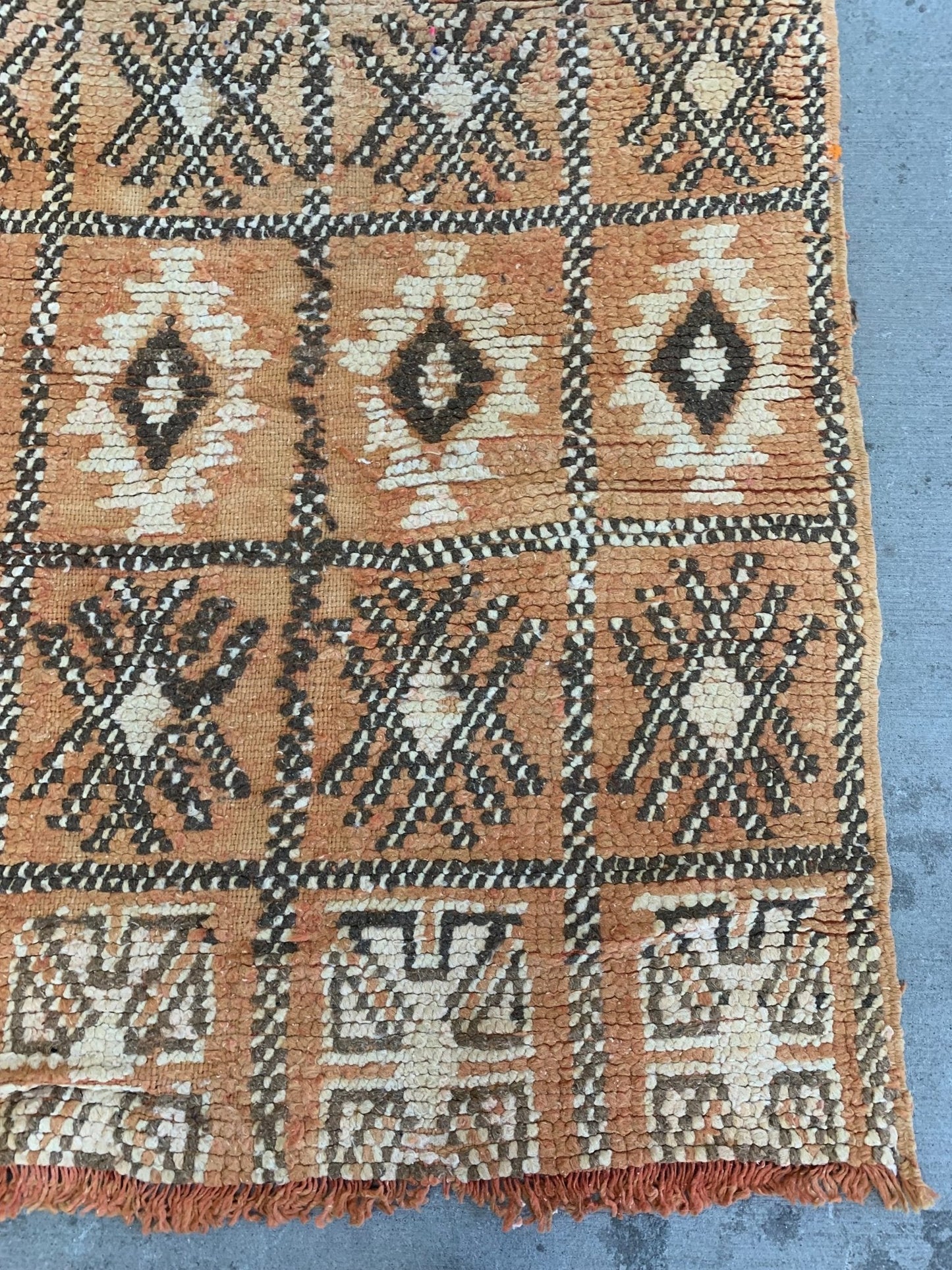 Orange Blossom - Modern Myth Decor