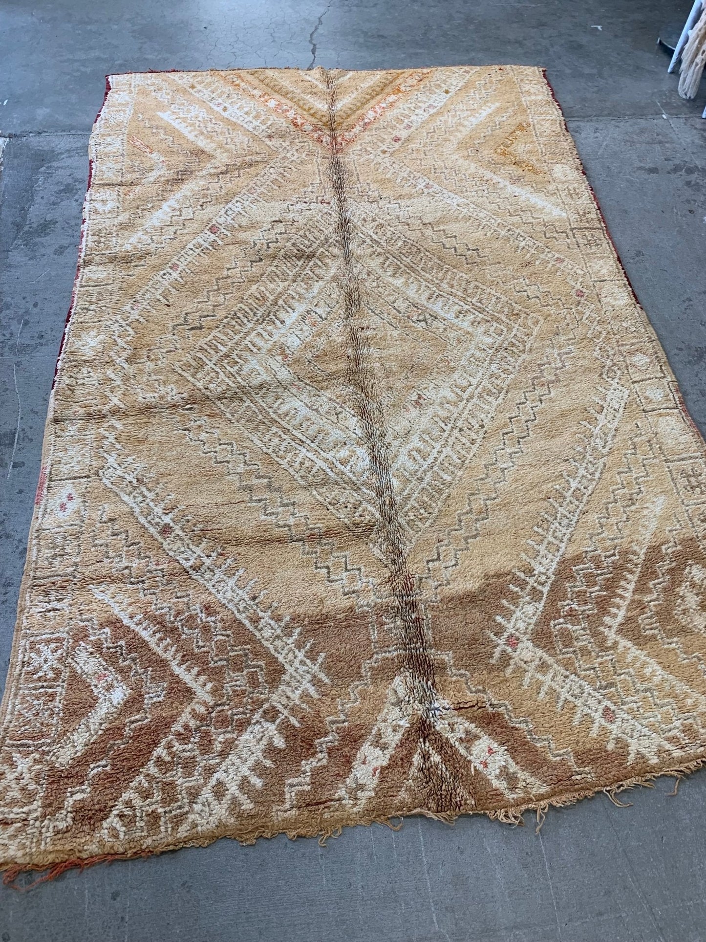 Terracotta Cream - Modern Myth Decor