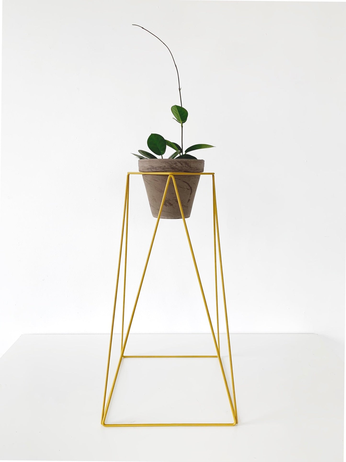 Tall Boy 22" Plant Stand